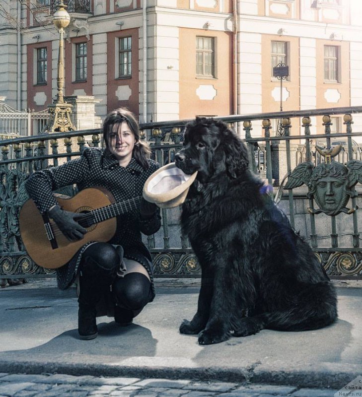 Фотография № 178237