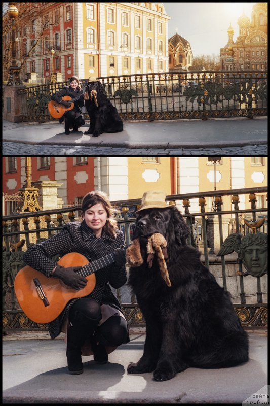 Фотография № 178238