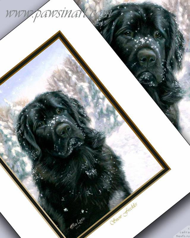 Фотография № 178535