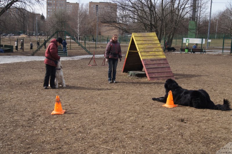 Фотография № 178570