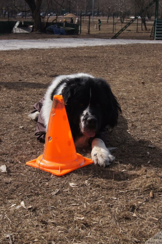 Фотография № 178572