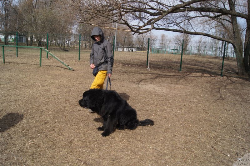 Фотография № 178574