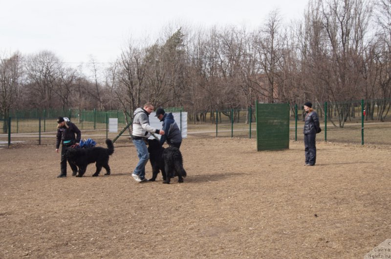 Фотография № 178576