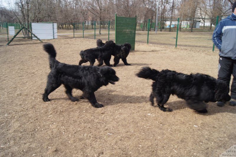 Фотография № 178577