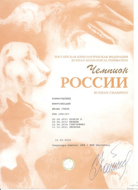 Фото: ньюфаундленд Ikona Stilya (Икона Стиля)