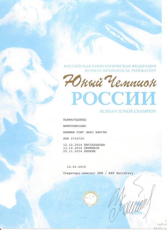 Фото: ньюфаундленд Akvian Song Lars Berger (Аквиан Сонг Ларс Бергер)