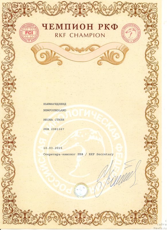 Фото: ньюфаундленд Ikona Stilya (Икона Стиля)