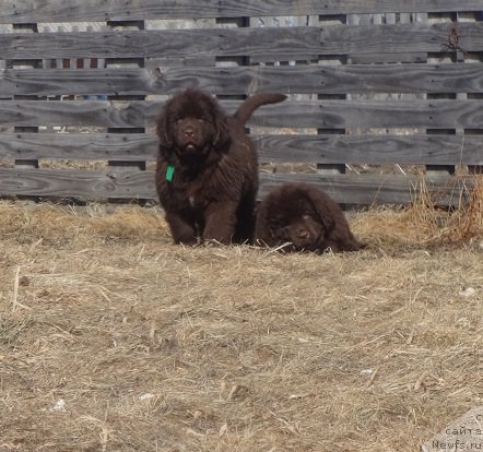 Фотография № 178620