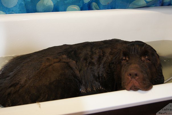 Фотография № 178640