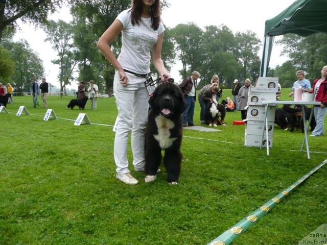 Фотография № 17867