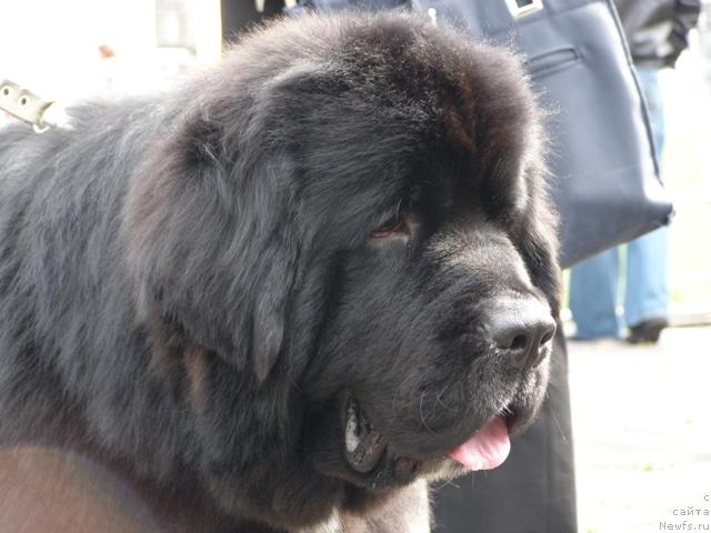 Фотография № 17870