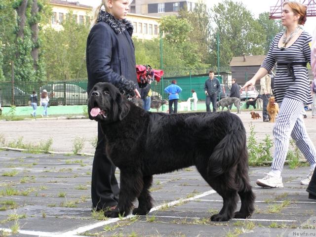 Фотография № 17871