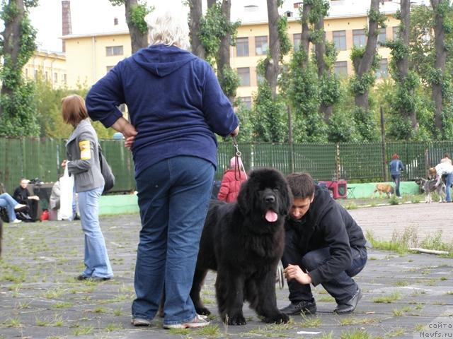 Фотография № 17872