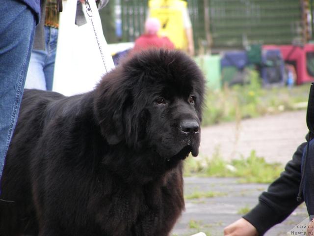 Фотография № 17873