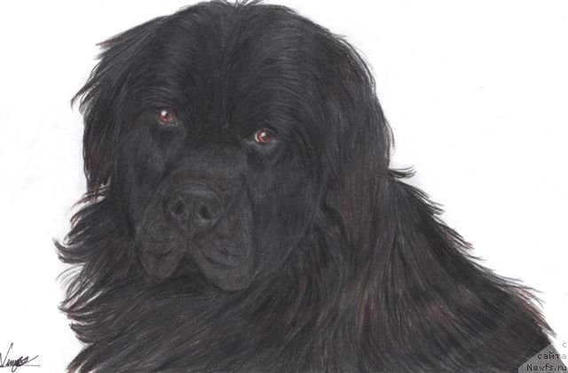 Фотография № 178737