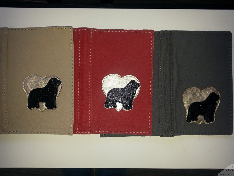 Фотография № 178740