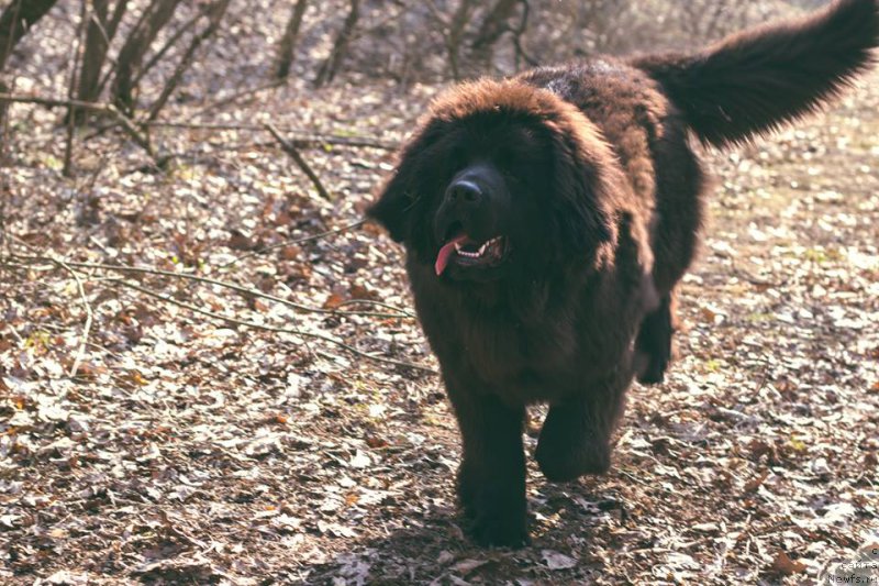 Фотография № 178744