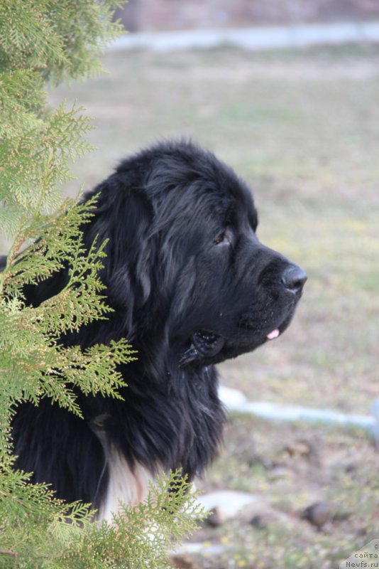 Фотография № 178749