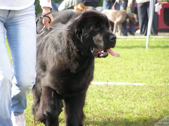 Фотография № 17875