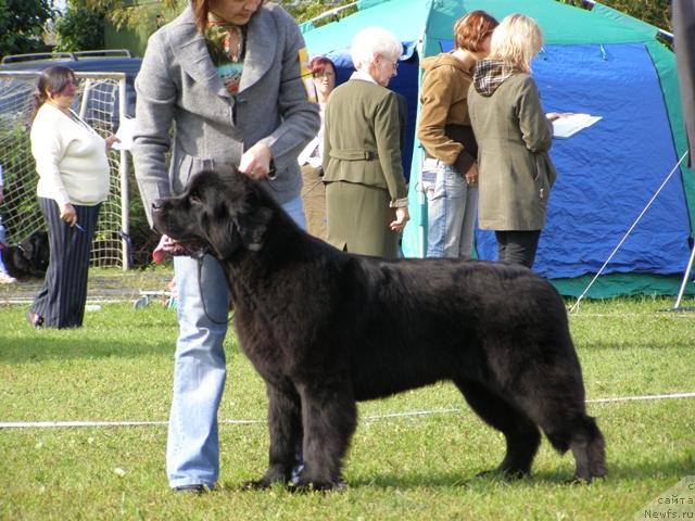 Фотография № 17877