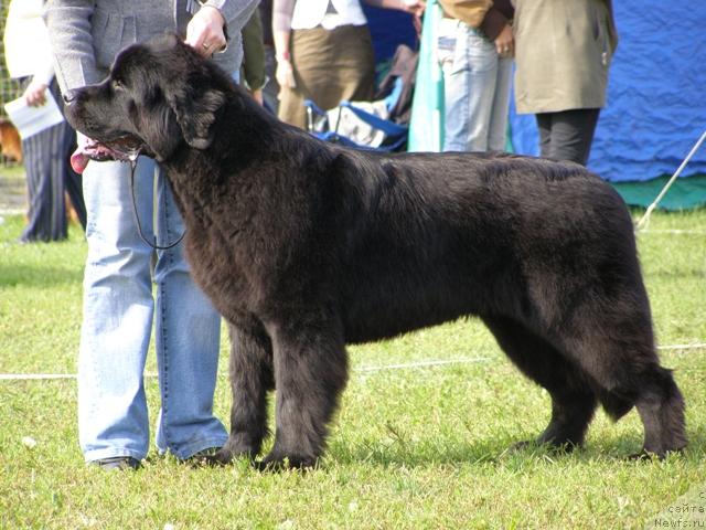 Фотография № 17878