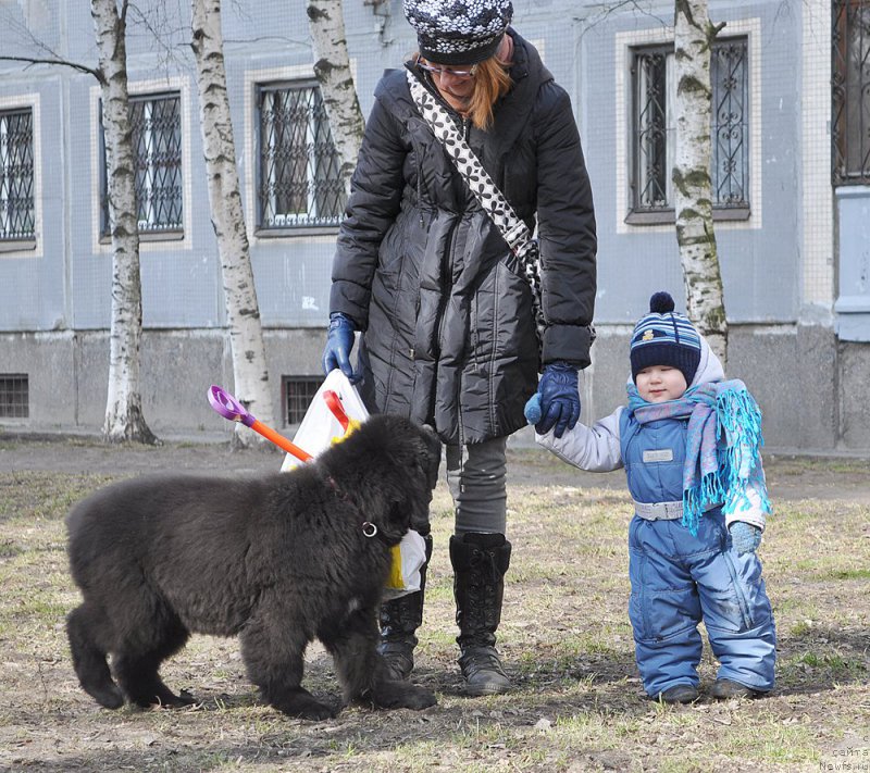 Фото: Бегущая по волнам Анаис-Анаис, Anna Oleynik (Анна Олейник)