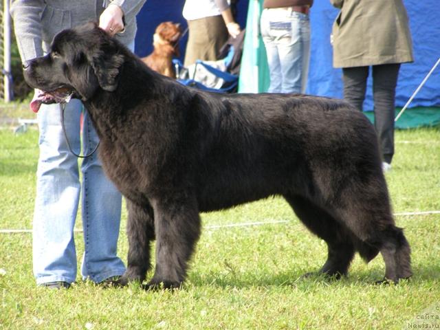 Фотография № 17879