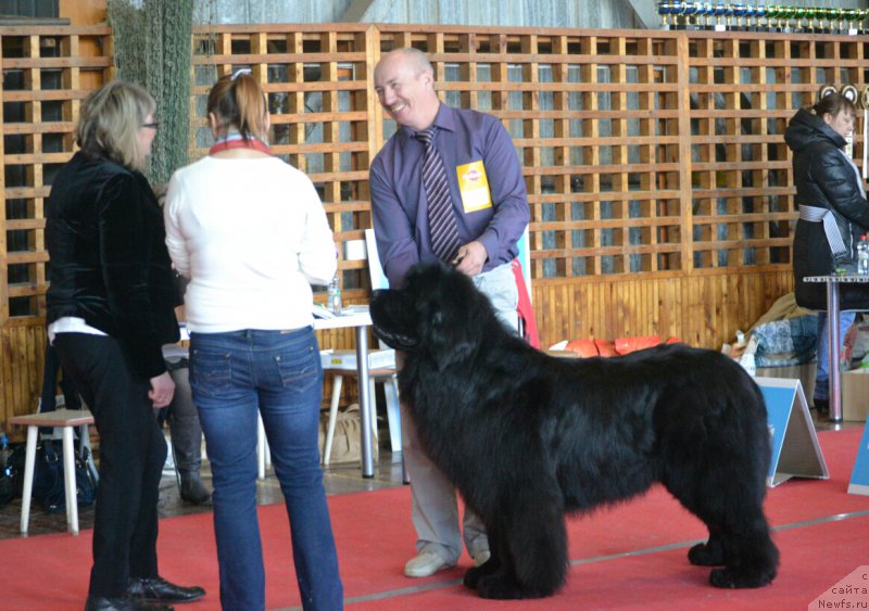 Фотография № 178798