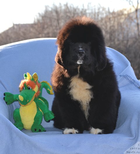 Фотография № 178805