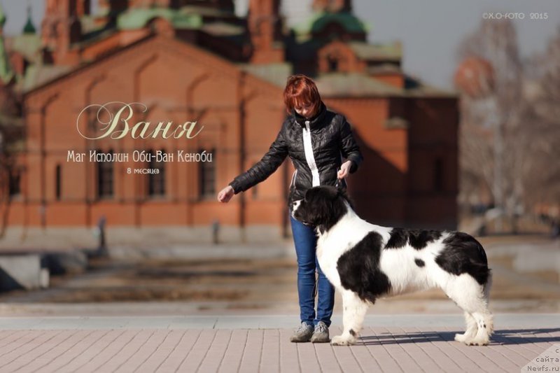 Фотография № 178813