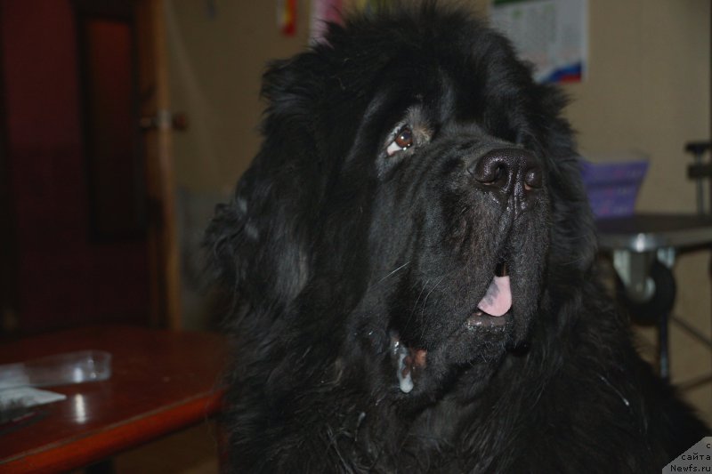 Фотография № 178817