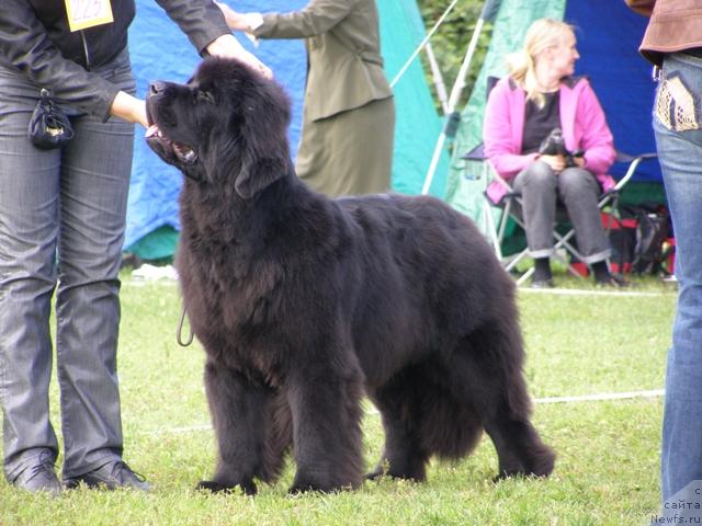 Фотография № 17882