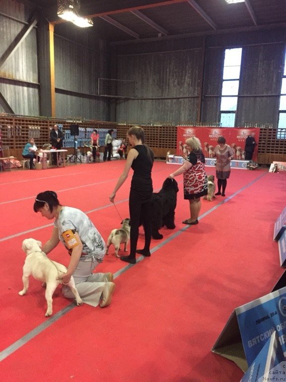 Фотография № 178821