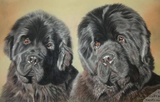 Фотография № 178833