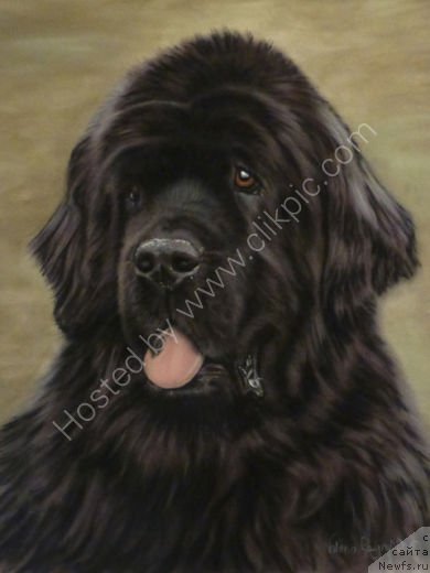 Фотография № 178834