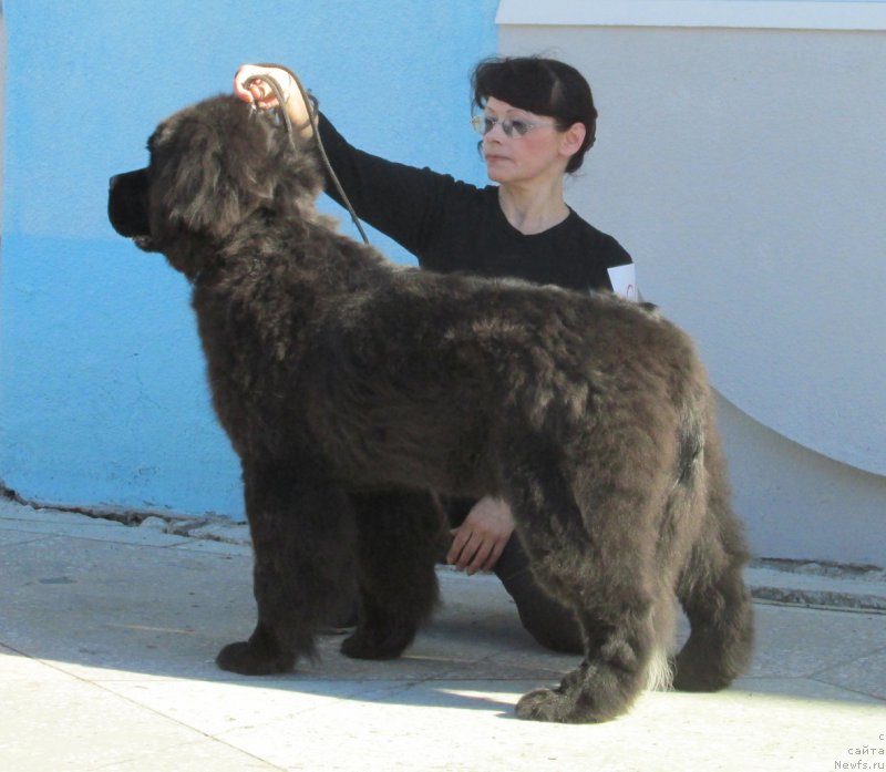 Фотография № 178855