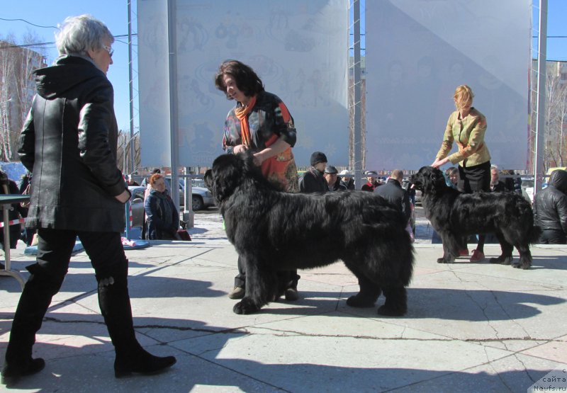 Фотография № 178858