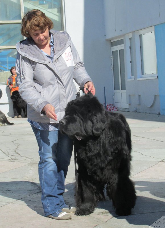 Фотография № 178859