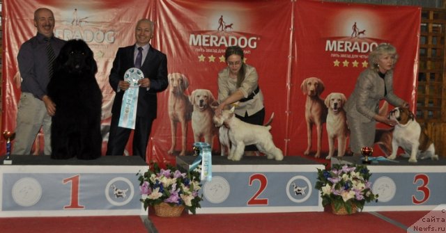 Фотография № 178864