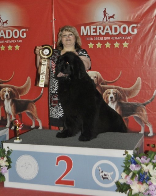 Фотография № 178868