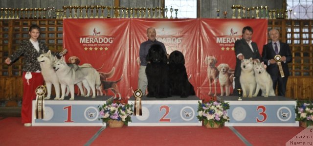 Фотография № 178870