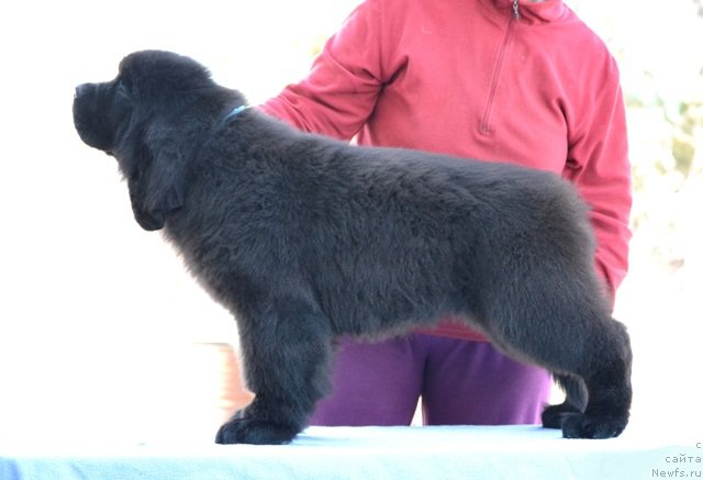 Фотография № 178875