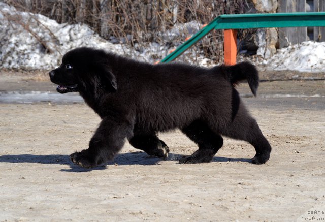 Фотография № 178877