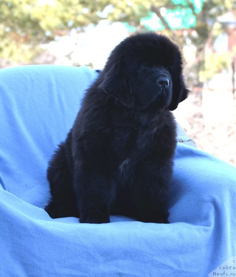 Фотография № 178879