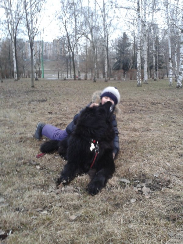 Фото: YUliya YAkusheva (Юлия Якушева)