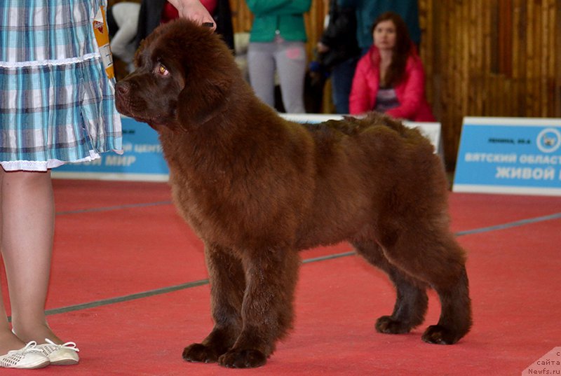 Фотография № 178883