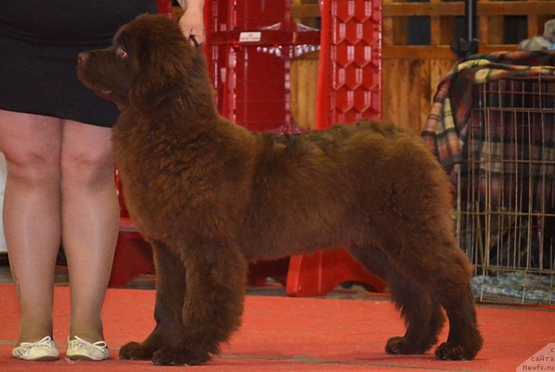 Фотография № 178884