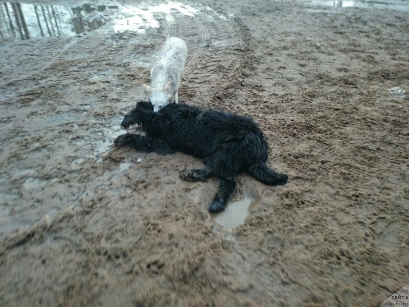 Фотография № 178891