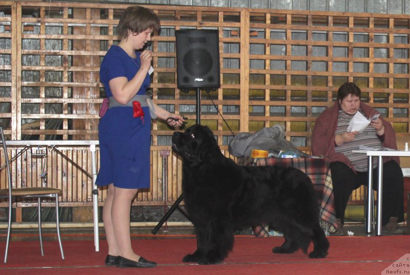 Фотография № 178910