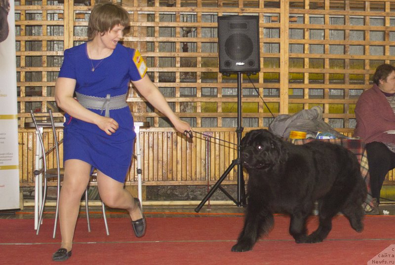 Фотография № 178911